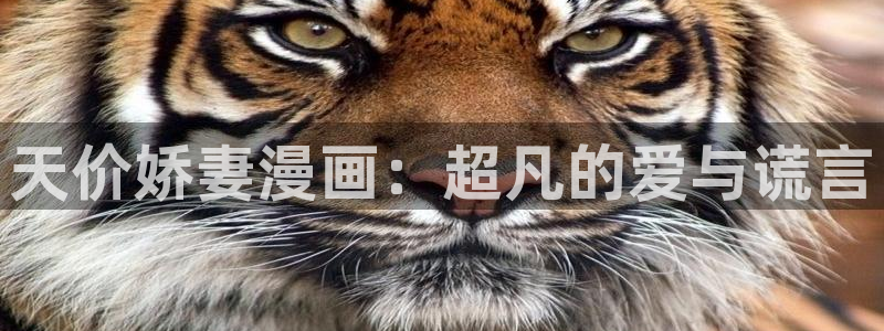 51漫画旧版：天价娇妻漫画：超凡的爱与谎言