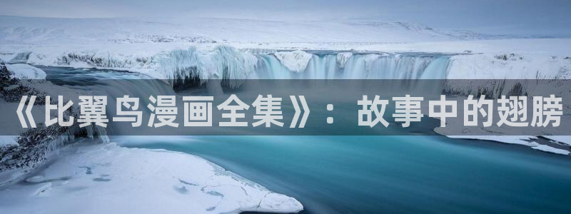 51漫画禁漫成人入口：《比翼鸟漫画全集》：故事中的翅膀